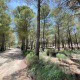  Nieuwe huizen verweven met de natuur in Calasparra Murcia Murcia 8082416 thumb19