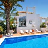  Mediterranean Style Villa Near the Beach in Alicante La Marina Alicante 8082434 thumb0