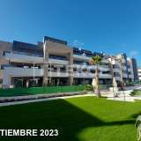  Wohnungen in Strandnähe in Playa Flamenca Orihuela Alicante 8082454 thumb17