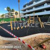  Lägenheter Nära Stranden i Playa Flamenca Orihuela Alicante 8082457 thumb22
