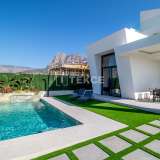  Villas Vue Mer et Montagne Près de la Plage à Alicante Alicante 8082515 thumb7