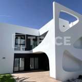  Zeitgenössische Villen mit Pools in Rojales Costa Blanca Alicante 8082528 thumb0