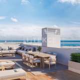  Appartementen in Complex met Zwembad op het Dak in Alicante Alicante 8082539 thumb3