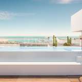  Appartementen in Complex met Zwembad op het Dak in Alicante Alicante 8082539 thumb4