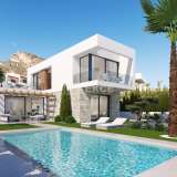  Villen mit Meerblick und Privatem Pool in Finestrat Alicante Alicante 8082565 thumb0