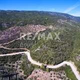  For Sale - (€ 0 / m2), Agricultural 5900 m2 Alonnisos 7582589 thumb6