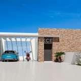  Freistehende Villa im eleganten Design mit Pool in La Marina Alicante Alicante 8082593 thumb2