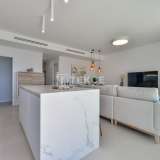  Exklusive Immobilien mit Meerblick in Finestrat Alicante Alicante 8082600 thumb32