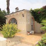  Villa mit privatem Pool und Sommerküche in Villamartin Alicante 8082613 thumb3