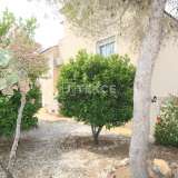  Villa with Private Pool and Summer Kitchen in Villamartin Alicante 8082613 thumb7