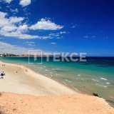  Modern Detached Villas Near Beach in Mil Palmeras Spain Alicante 8082623 thumb3