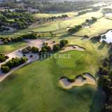  Golf Villa with Impressive Views in Pilar de la Horadada Alicante 8082624 thumb6