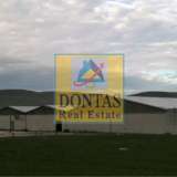  (For Sale) Commercial Industrial Area || Voiotia/Livadeia - 15.000 Sq.m, 4.600.000€ Livadeiá 7682644 thumb4