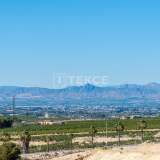  Detached Bungalow Style Houses in Algorfa Spain Alicante 8082651 thumb22