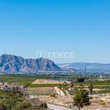  Detached Bungalow Style Houses in Algorfa Spain Alicante 8082651 thumb21