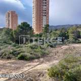  Apartamentos en Complejo Todo Incluido Cerca de la Playa en Benidorm Alicante 8082690 thumb30