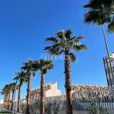  Elegante Wohnungen in Playa Flamenca Orihuela Alicante 8082696 thumb9