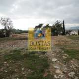  (For Sale) Land Plot || Athens North/Kifissia - 1.170 Sq.m, 2.000.000€ Athens 7682705 thumb4