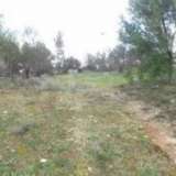  (For Sale) Land Agricultural Land  || East Attica/Rafina - 2.500 Sq.m, 85.000€ Rafina 8182705 thumb1