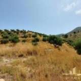  (For Sale) Land Large Land  || Zakynthos (Zante)/Zante Chora - 140.000 Sq.m, 3.500.000€ Zakynthos 8182717 thumb8