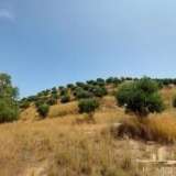  (For Sale) Land Large Land  || Zakynthos (Zante)/Zante Chora - 140.000 Sq.m, 3.500.000€ Zakynthos 8182717 thumb9