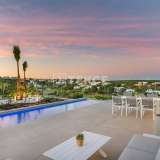  Detached Luxury Villa in San Miguel de Salinas Alicante Alicante 8082727 thumb8