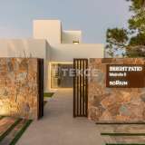  Detached Luxury Villa in San Miguel de Salinas Alicante Alicante 8082727 thumb11