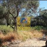  (For Sale) Land Plot || Athens North/Kifissia - 1.000 Sq.m, 1.200.000€ Athens 6782731 thumb2