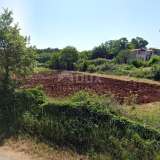  ISTRIA, SVETI LOVREČ - Land on the edge of the construction zone, surrounded on 3 sides by untouched nature Sveti Lovreč 8182775 thumb0