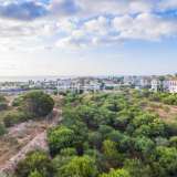  Wohnungen in Gehweite zum Strand in Orihuela Alicante 8182862 thumb21