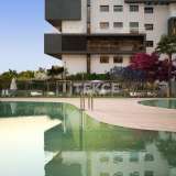  Wohnungen mit Meerblick in Dehesa de Campoamor Alicante Alicante 8182870 thumb5