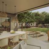  Villas with Private Pool and Garden in İzmir Sasalı Cigli 8182898 thumb2