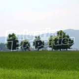 Agricultural land for sale near Sofia Ihtiman city 8082936 thumb9