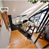   Sofia 5583152 thumb6