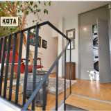   Sofia 5583152 thumb12