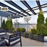   Sofia 5583152 thumb13