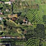  (For Sale) Land Plot || Messinia/Methoni - 8.000 Sq.m, 2.000.000€ Methoni 7583056 thumb1