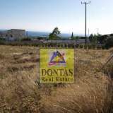  (For Sale) Land Plot || East Attica/Kalyvia-Lagonisi - 2.088 Sq.m, 450.000€ Lagonisi 7983697 thumb2