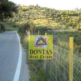  (For Sale) Land Plot || Piraias/Spetses - 30.000 Sq.m, 1.200.000€ Spetses 7983700 thumb9