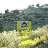  (For Sale) Land Plot || Piraias/Spetses - 30.000 Sq.m, 1.200.000€ Spetses 7983700 thumb1