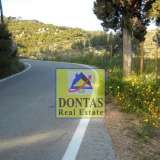  (For Sale) Land Plot || Piraias/Spetses - 30.000 Sq.m, 1.200.000€ Spetses 7983700 thumb6
