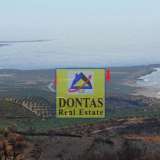  (For Sale) Land Agricultural Land  || Chania/Inachorio - 706.000 Sq.m, 5.000.000€ Chania 7983705 thumb6