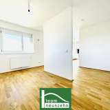  2 Zimmer Wohnung mit 16m² Dachterrasse und Fernblick - jetzt anfragen & besichtigen Wien 8083729 thumb6