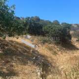  (For Sale) Land Plot || Cyclades/Syros-Ermoupoli - 4.557 Sq.m, 180.000€ Ermoupoli 8183730 thumb9