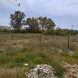  (For Sale) Land Plot || Piraias/Salamina - 2.507 Sq.m, 200.000€ Salamís 8183742 thumb1