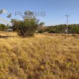  (For Sale) Land Plot || Piraias/Salamina - 4.581 Sq.m, 70.000€ Salamís 8183748 thumb0