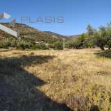  (For Sale) Land Plot || Piraias/Salamina - 4.581 Sq.m, 40.000€ Salamís 8183748 thumb1