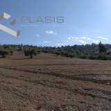  (For Sale) Land Plot || Piraias/Salamina - 9.320 Sq.m, 75.000€ Salamís 8183751 thumb1