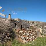  (For Sale) Residential Detached house || Cyclades/Kea-Tzia - 300 Sq.m, 250.000€ Kea 8183763 thumb7