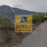  (For Sale) Land Plot || East Attica/Dionysos - 810 Sq.m, 250.000€ Dionysos 7783844 thumb0